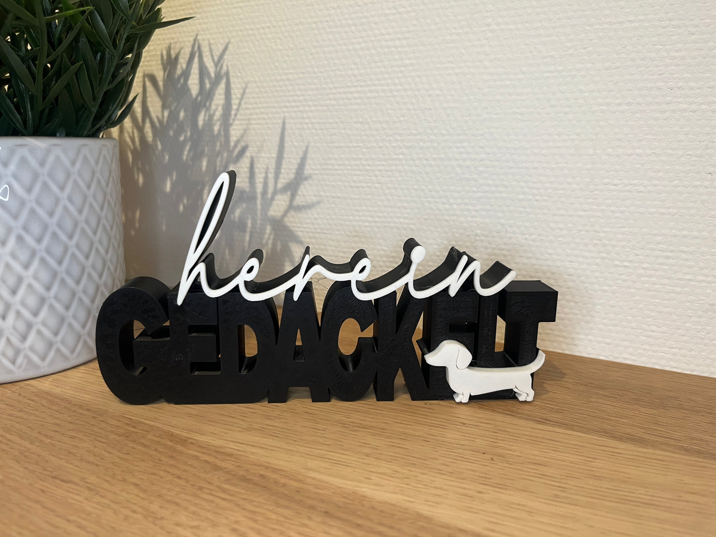 Schriftzug | herein gedackelt | Statement