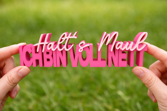 Schriftzug | Halt‘s Maul | nett | Statement