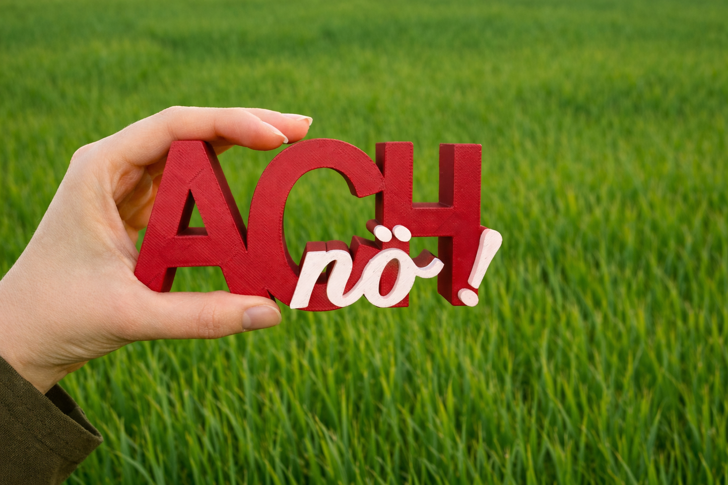Schriftzug | Ach nö! | Statement