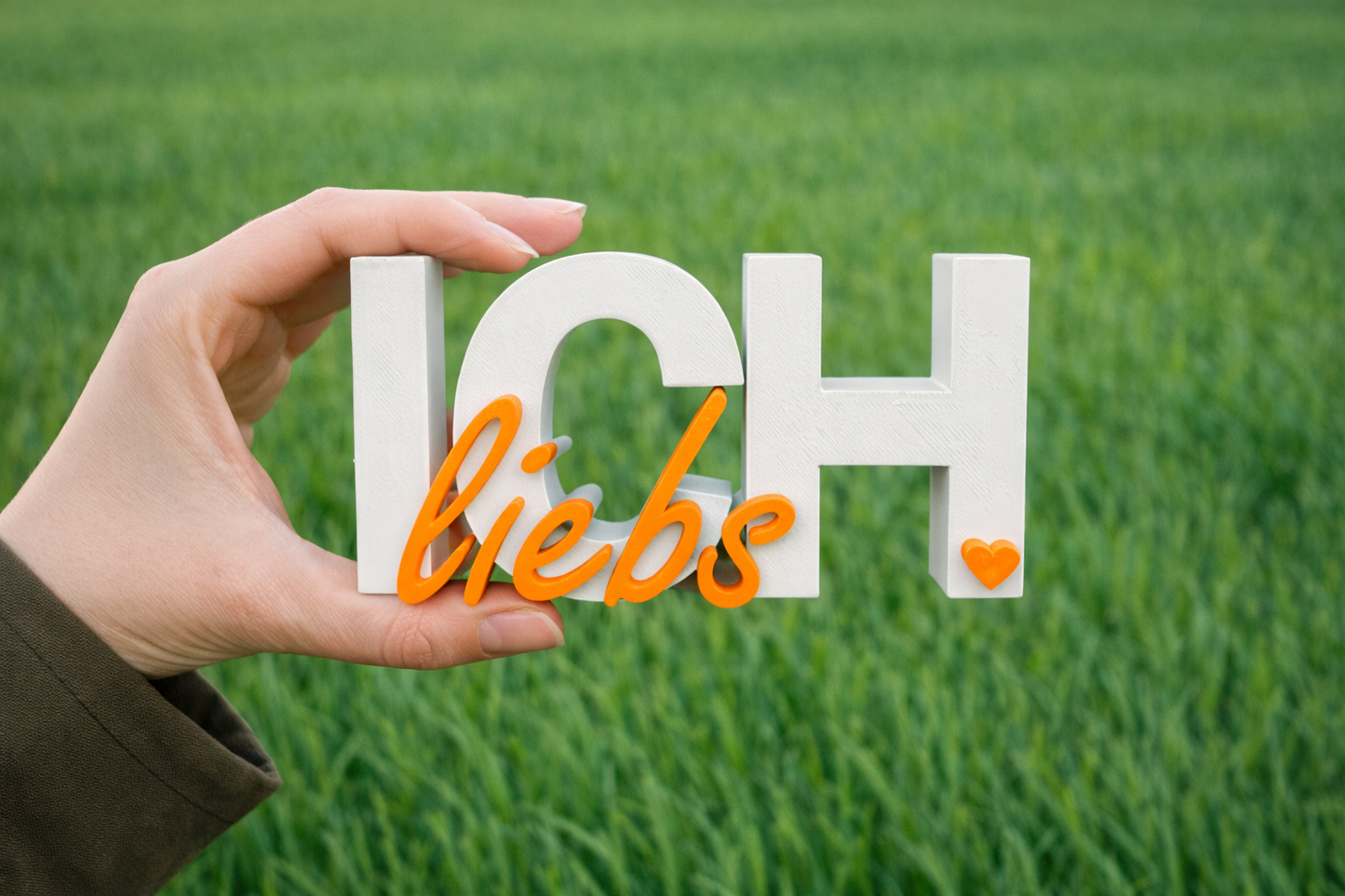 Schriftzug | Ich Liebs | Statement