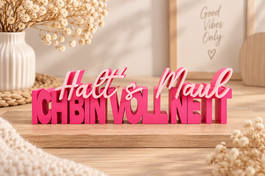 Schriftzug | Halt‘s Maul | nett | Statement