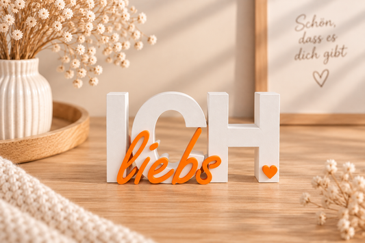 Schriftzug | Ich Liebs | Statement